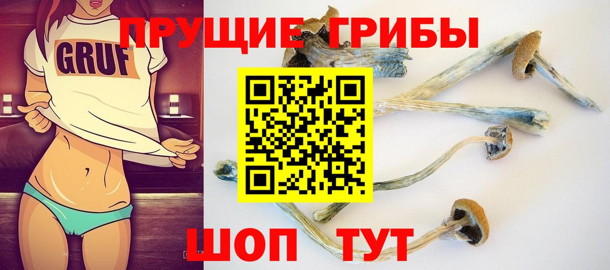 Псилоцибиновые грибы ЛСД Ленинск-Кузнецкий